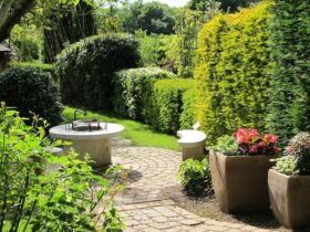 A sövények nemcsak takarnak, de öltöztetnek is.